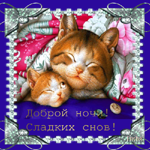 Доброй ночи сладких снов два кота скачать красиваю анимацию бесплатно