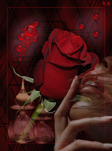 Анимация цветы,очень красивая красная роза и пальцы девушки
