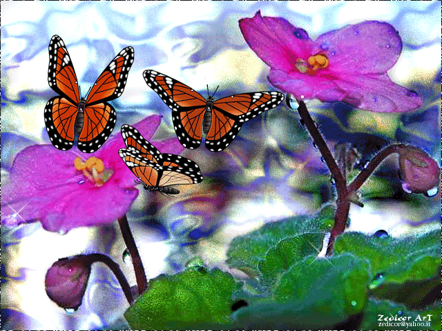 Цветы анимация,красивые бабочки летают на цветках