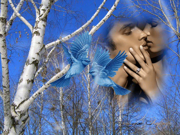 Любовь Анимация,сизые голуби и влюбленная пара в лесу