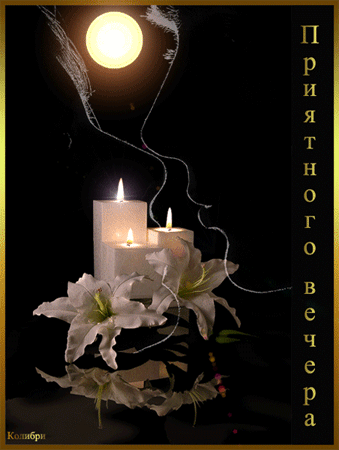 Анимация Добрый Вечер, приятного вечера свечи орхидеи и луна