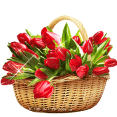 Цветы Анимация, очень красивая карзина тюльпанов