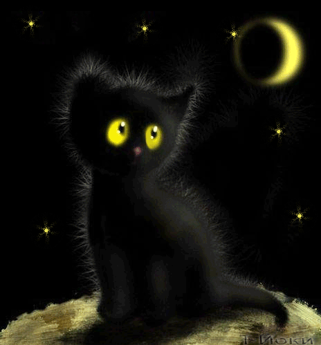 Анимация Спокойной Ночи черный котенок звезды луна