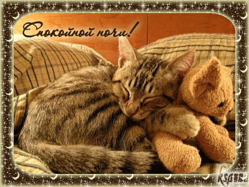 Анимация спокойной ночи,полосатый кот обнял плюшего мишку и спит